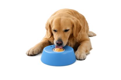 Bol anti-stress pour chien | Calme, occupe et réduit l’anxiété