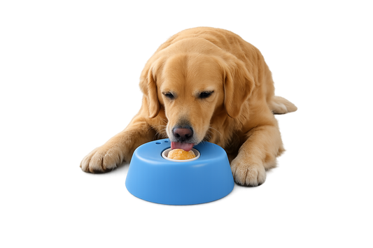 Bol anti-stress pour chien | Calme, occupe et réduit l’anxiété